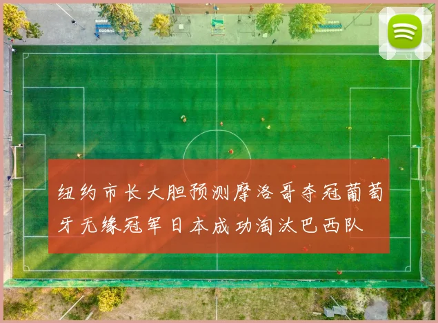 纽约市长大胆预测摩洛哥夺冠葡萄牙无缘冠军日本成功淘汰巴西队